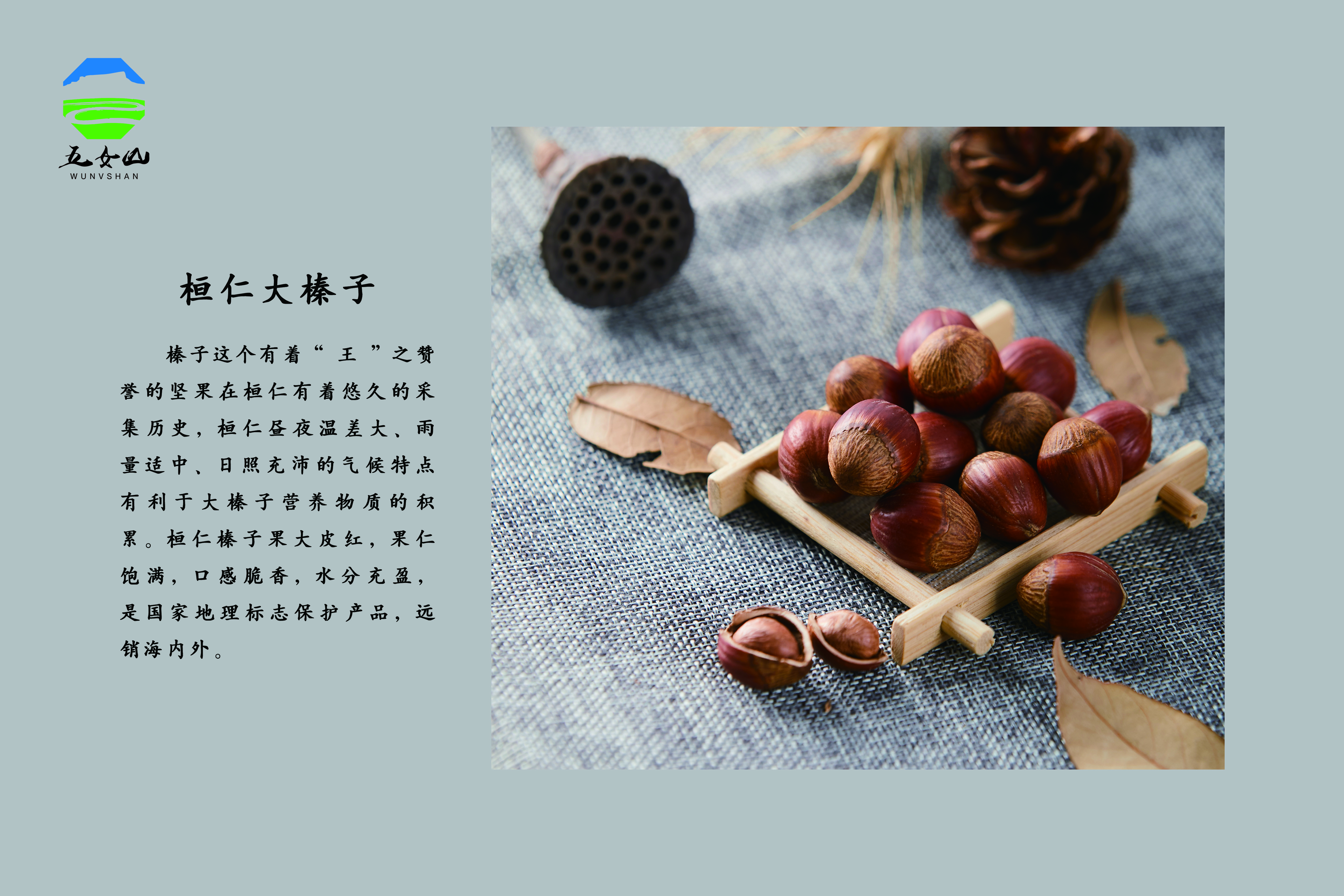 桓仁大榛子.jpg