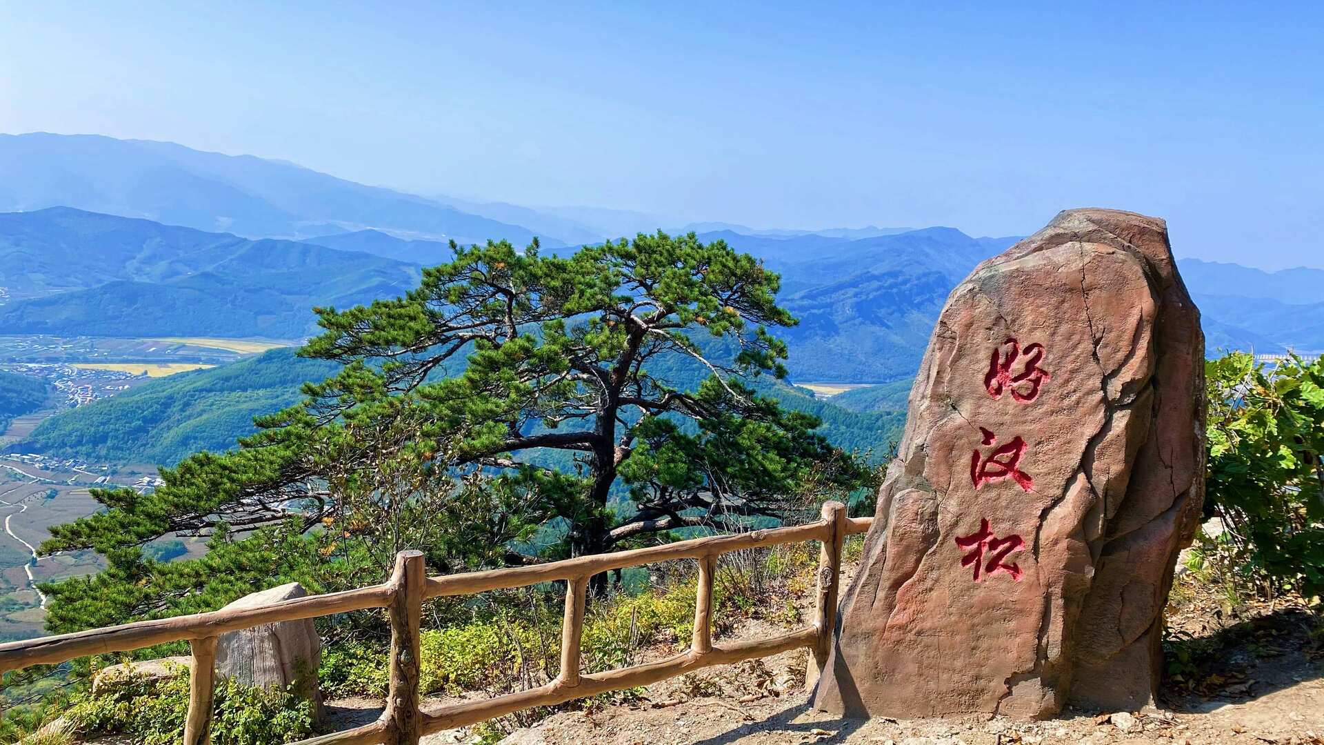 好汉松